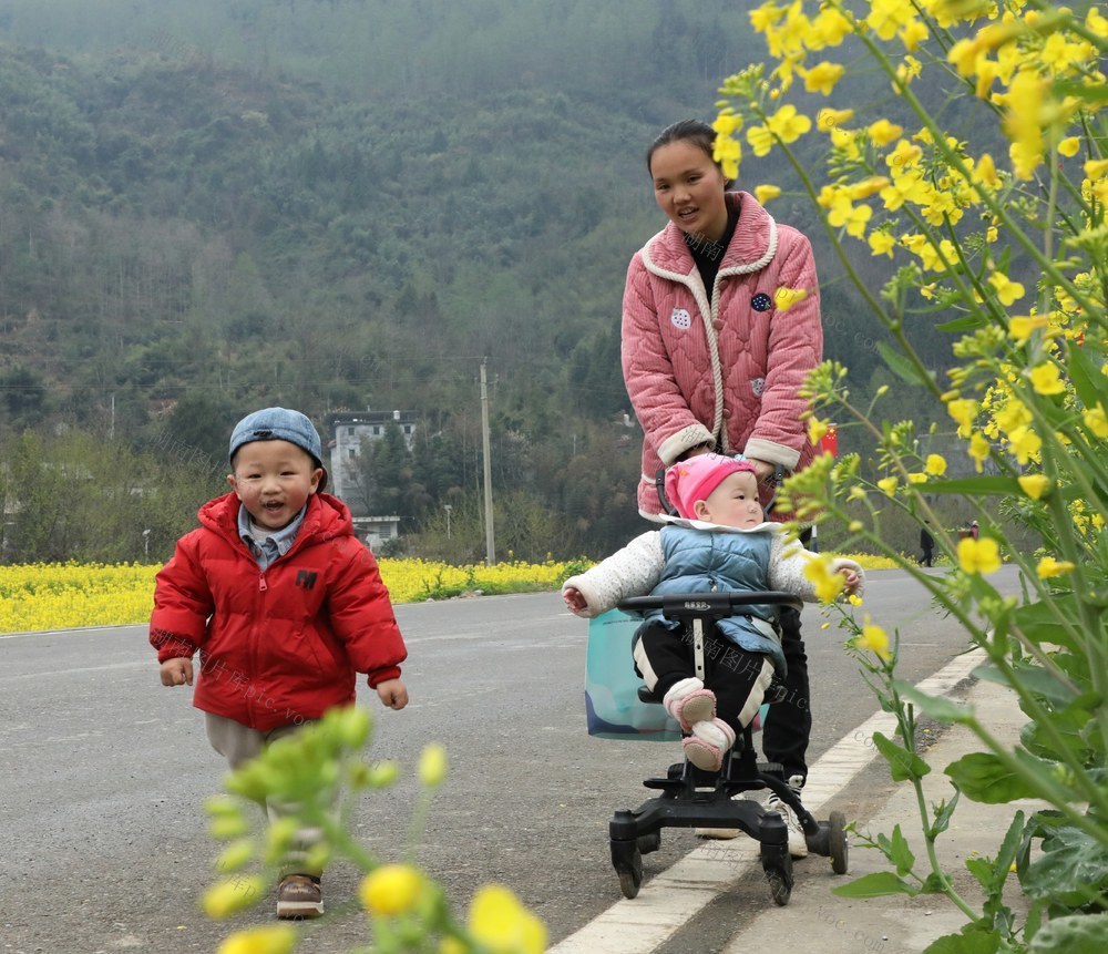     油菜花开醉游人