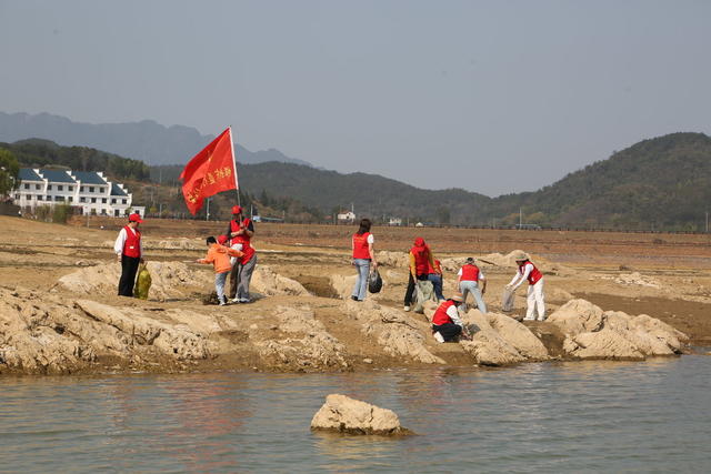 投稿
