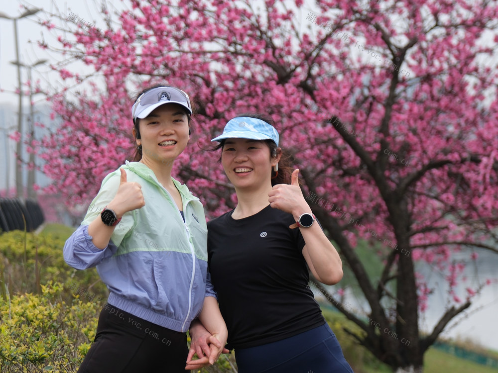 浏阳河东岸风光带，桃花