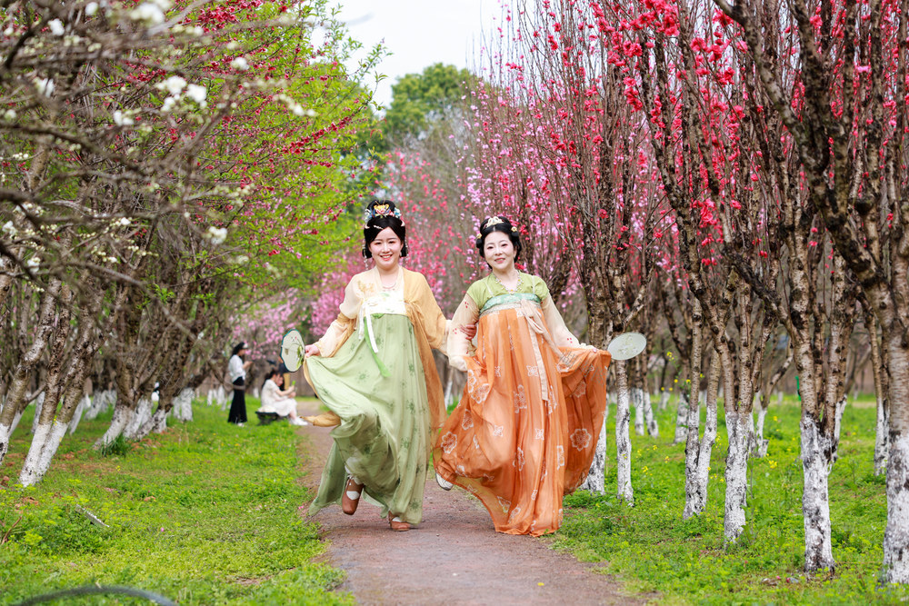 “桃花源里的城市” 桃花绽放 春光醉游人