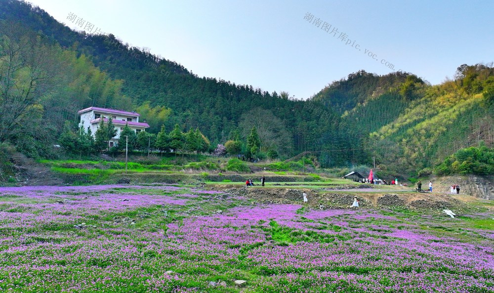 湖南  常宁  乡村  踏青