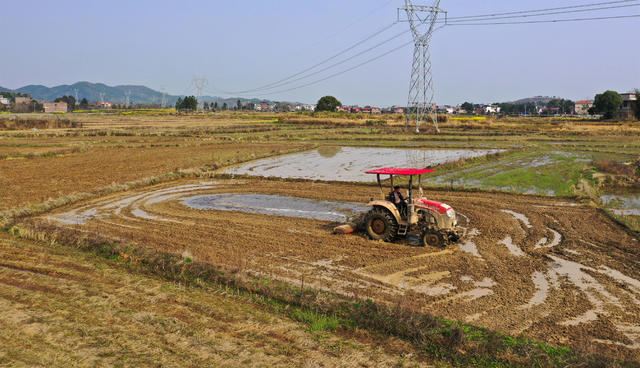 春耕  时节  春分  农民  农业  生产  田间