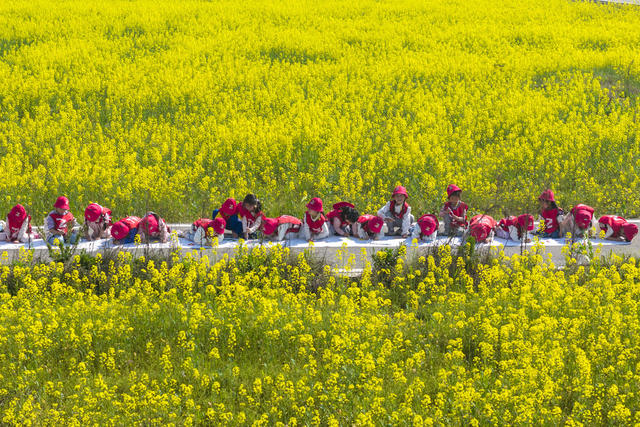 娄底 春日 春游  大自然