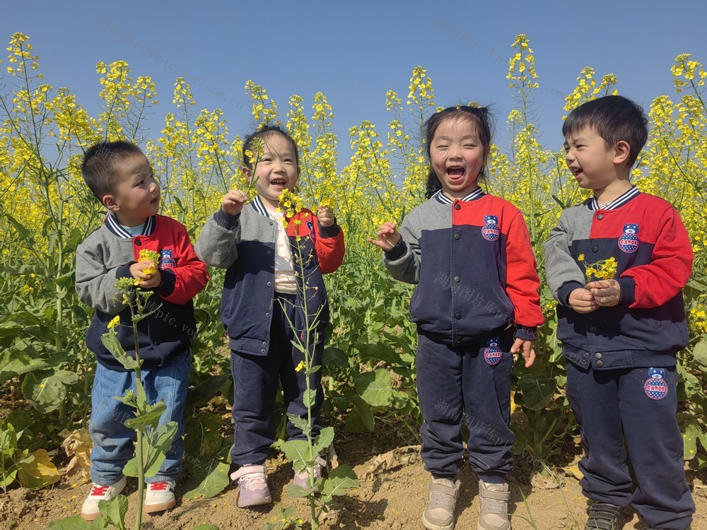 带领孩子们走向大自然