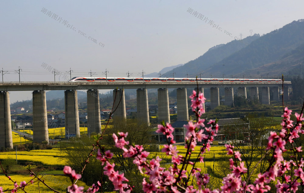 飞越花丛的高铁列车