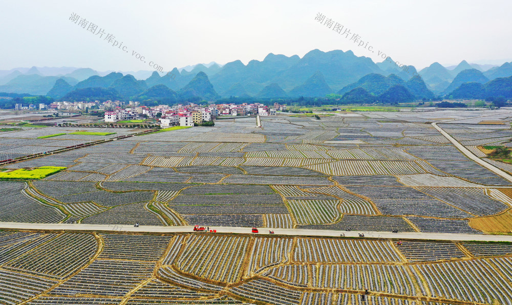 湖南宁远：诗画田园