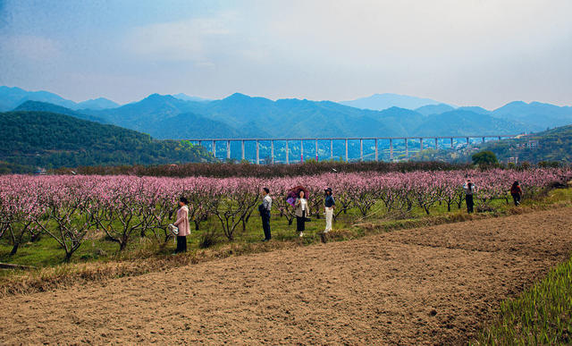 作家协会   研学    桃花村  全国文明村