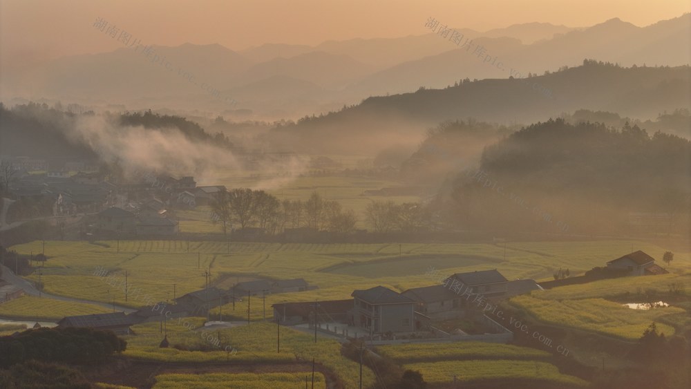 春日，新农村，油菜花