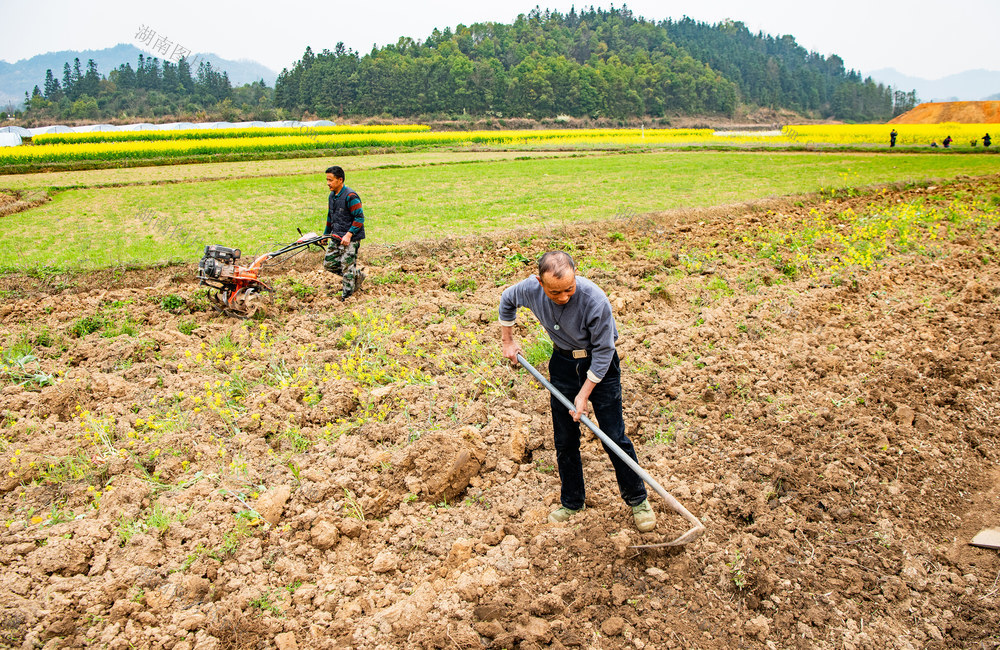 农村  农田  农事  春耕  备耕