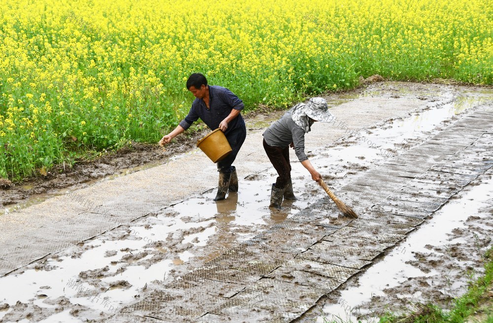 春光好  播种忙