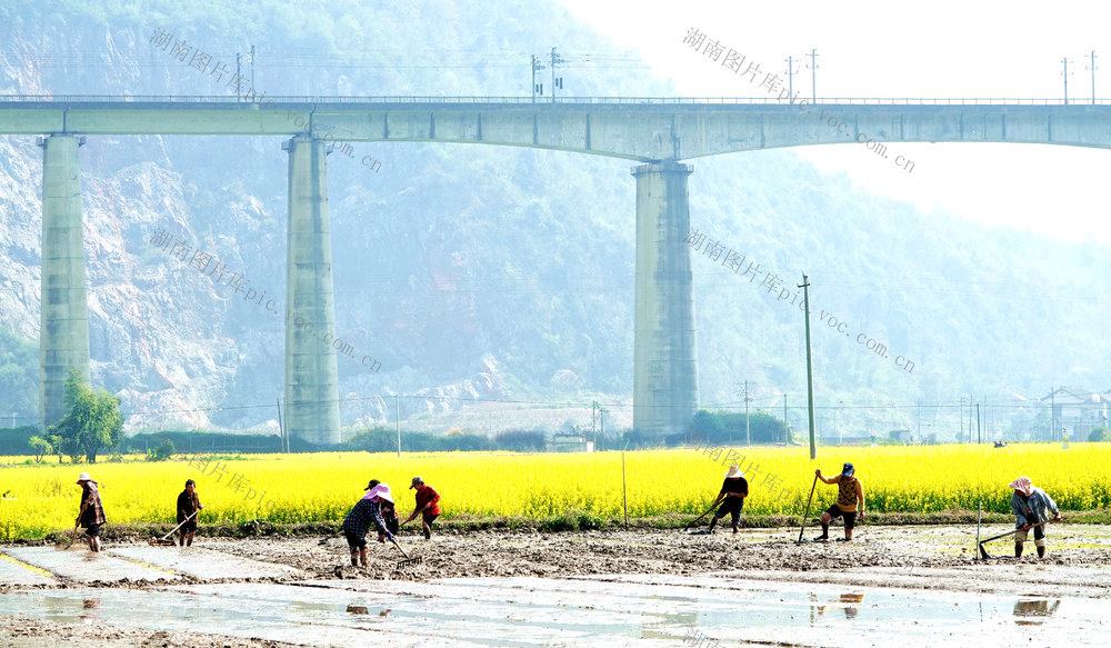 农村，春耕生产，备耕备农，