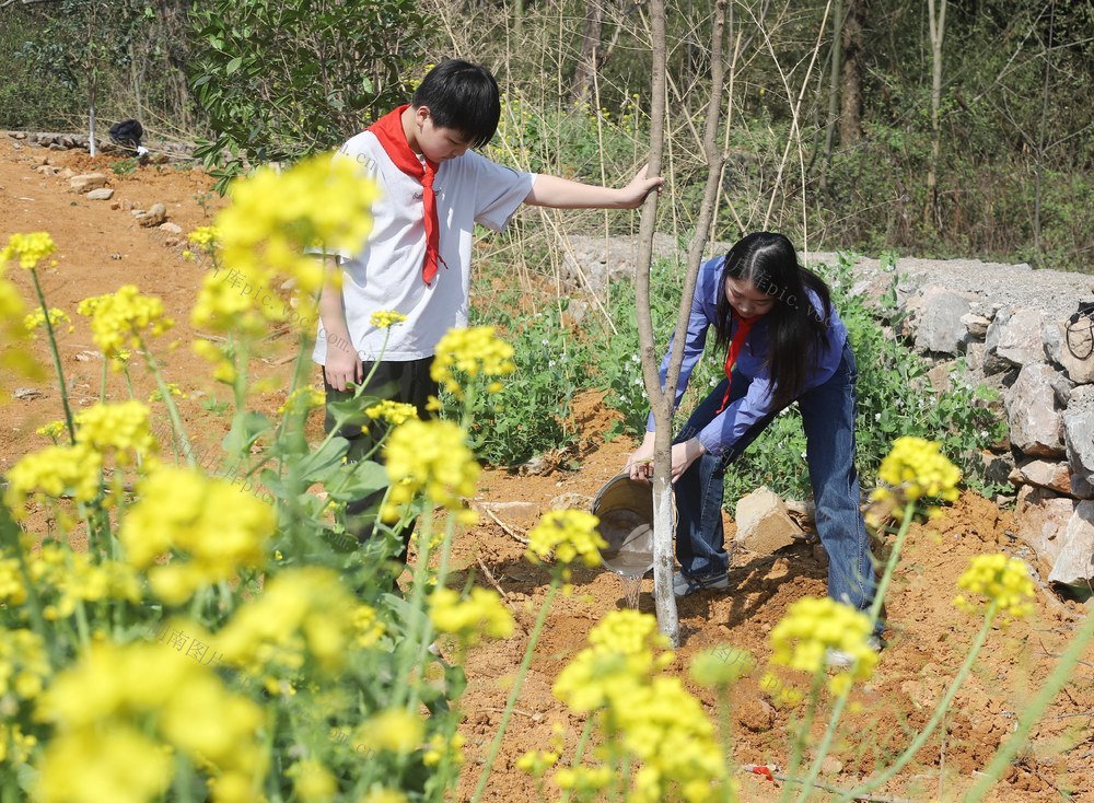 义务植树 学校 干部志愿者 