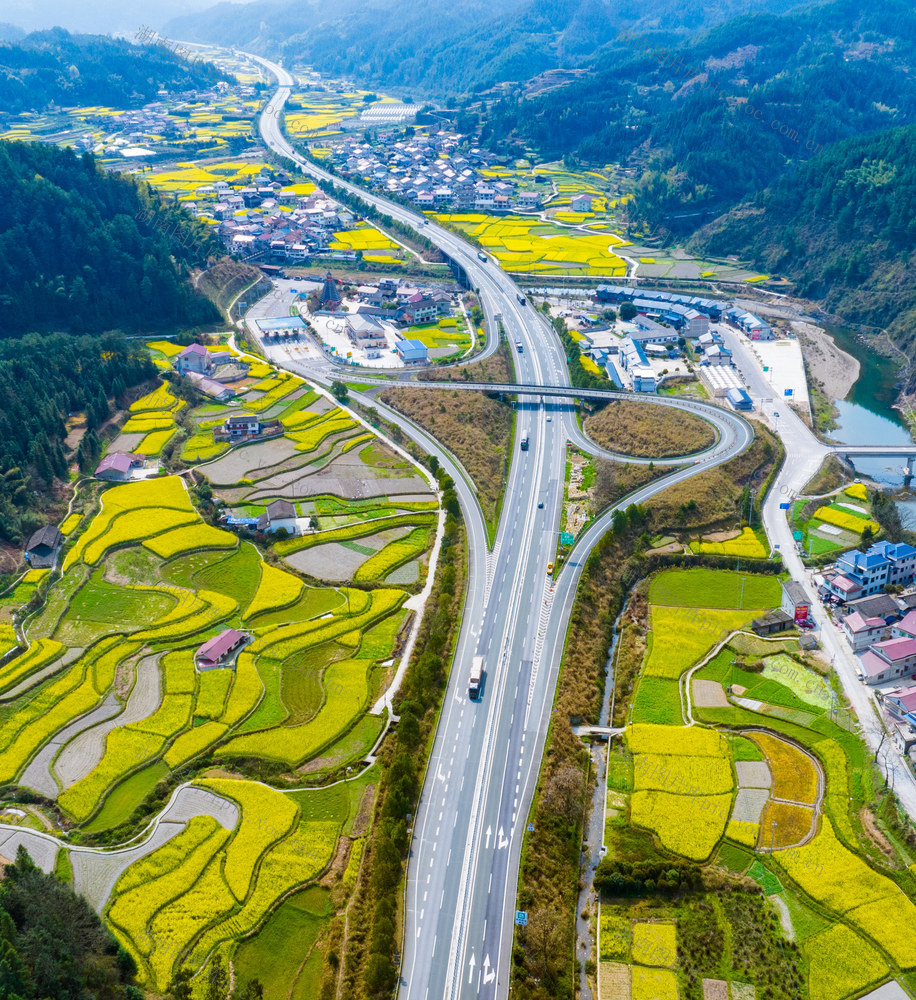 交通  高速公路  G60沪昆高速  油菜花  春天  怀化