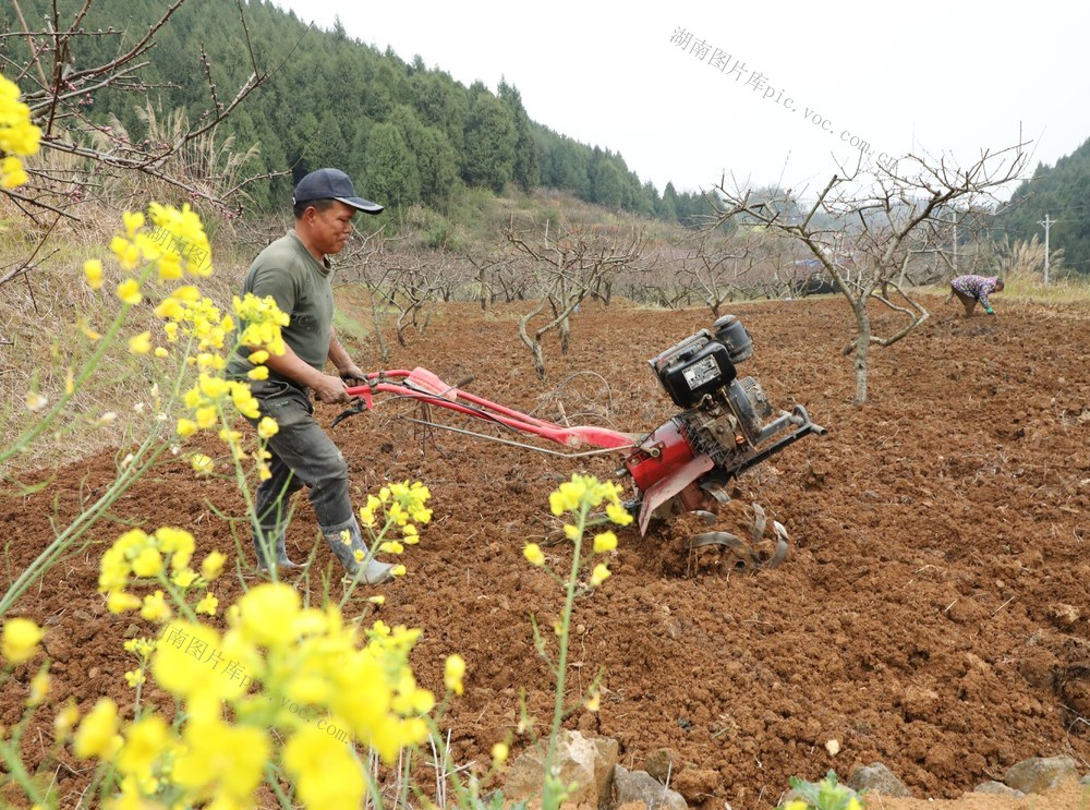    春暖花开农事忙