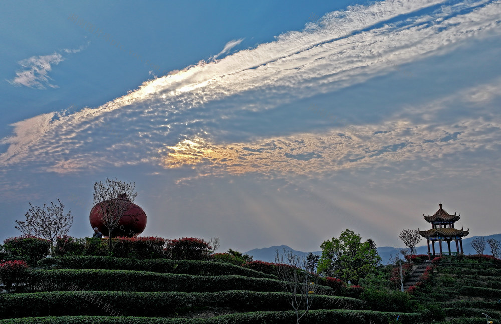 湖南桂东：茶园 画 大茶壶