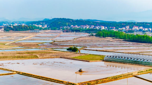 高标准农田  建设