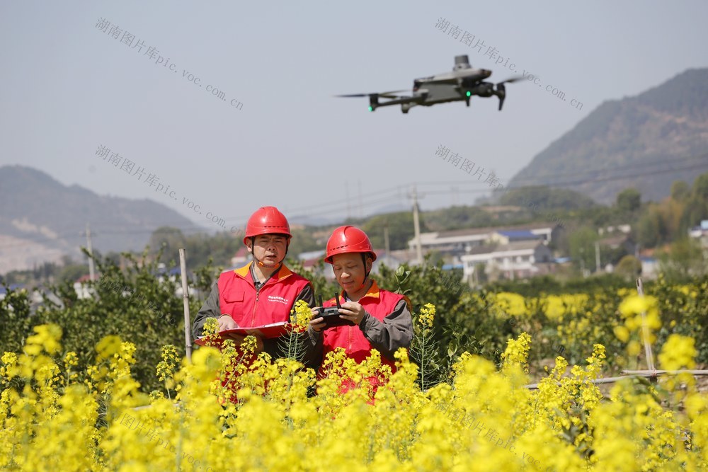 巡线 春耕 电骡子