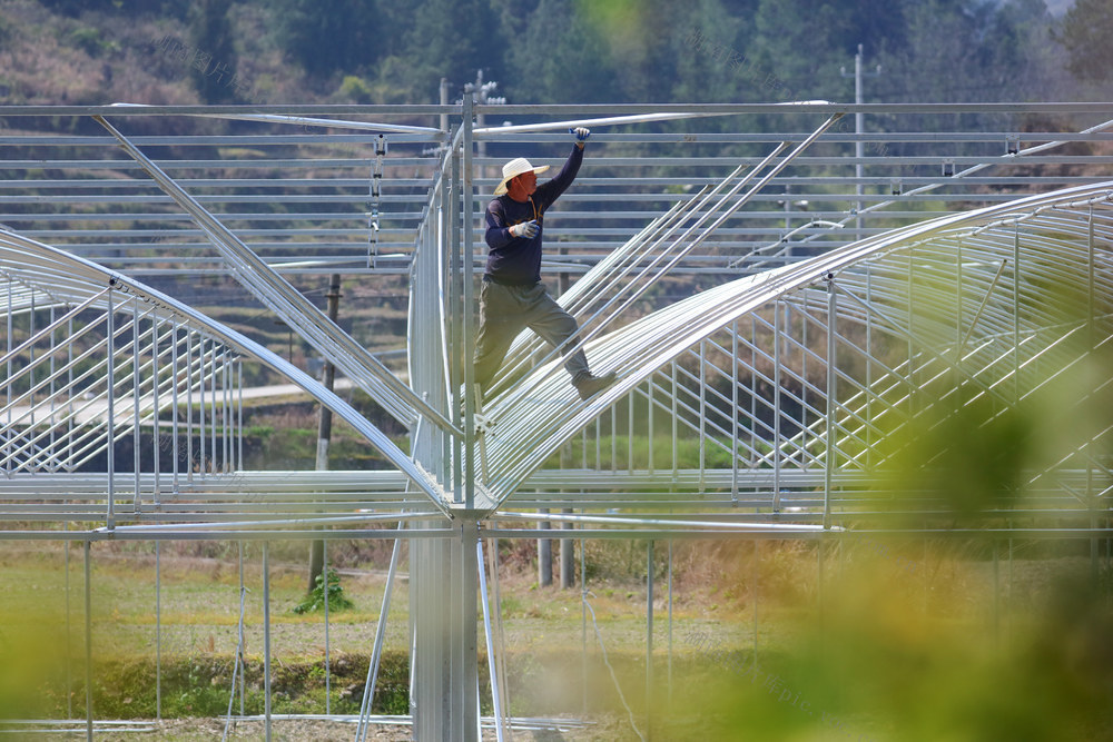 湖南，湘西，搭建，大棚，育秧，设施