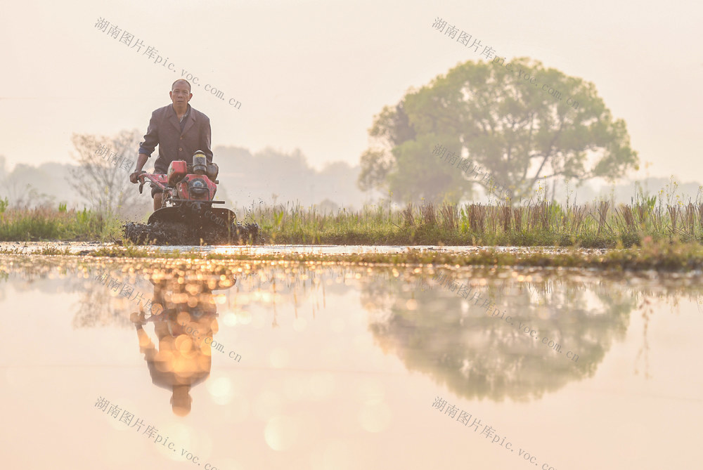 春耕
早稻
道县