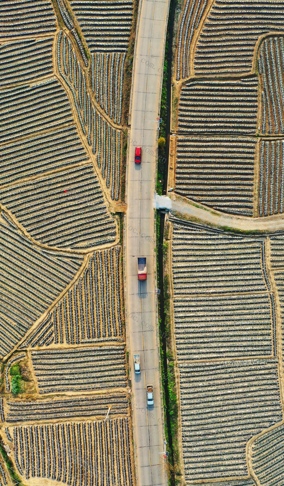 嘉禾：田园画卷