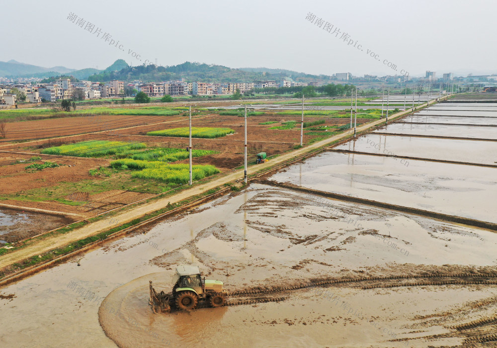 嘉禾：春耕农忙