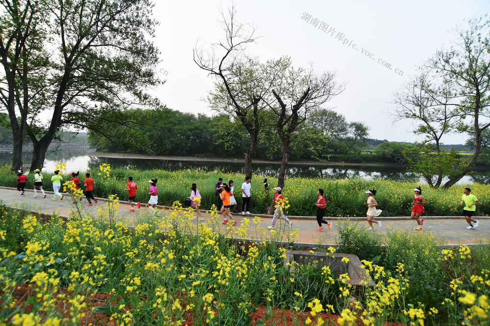 嘉禾：河畔生态美  市民健身乐