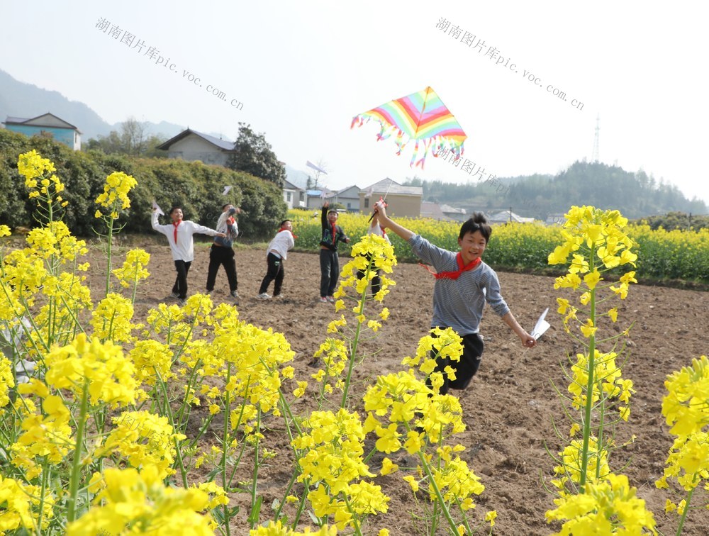    田间课堂欢乐多