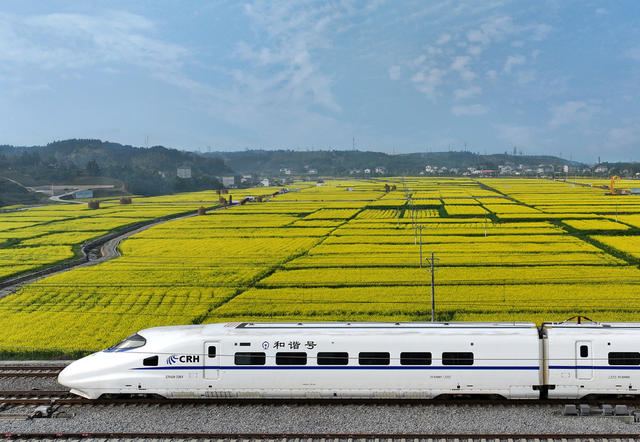  春满田野生态美