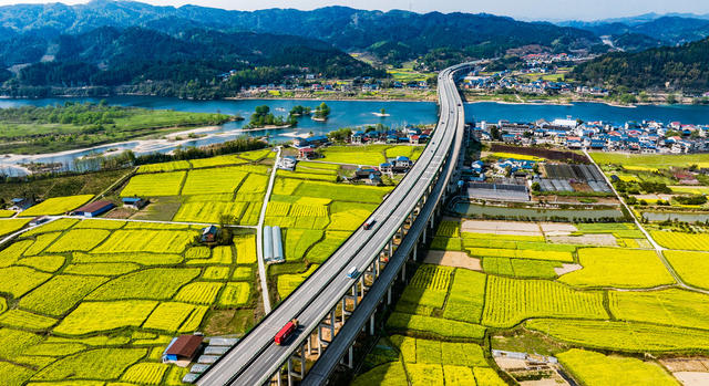 交通  高速公路  G65包茂高速  油菜花  春天  怀化