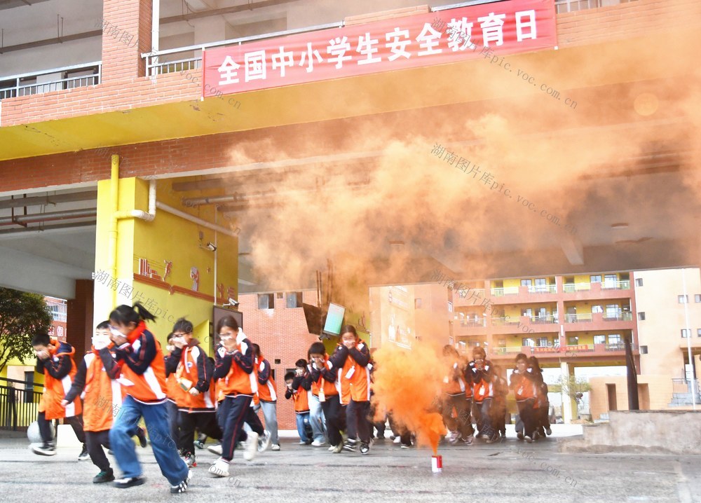   安全教育进校园