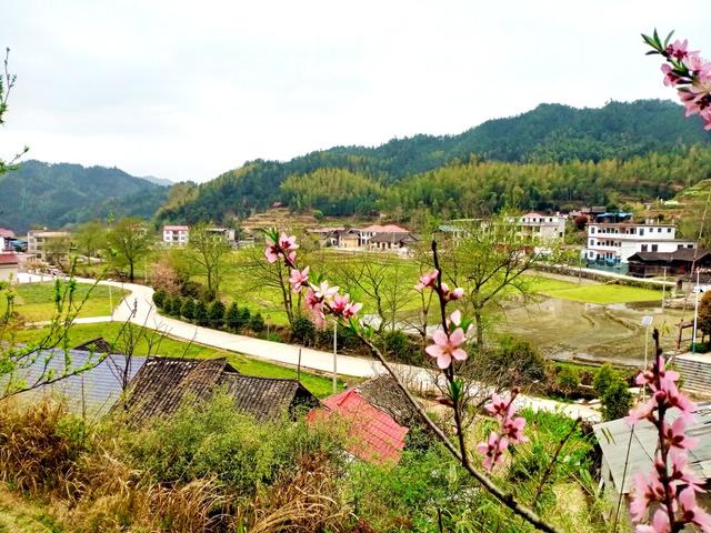 田园 梅花 画卷