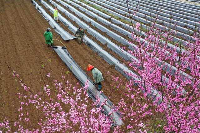 湖南，湘西，春光，田间，春耕，画卷