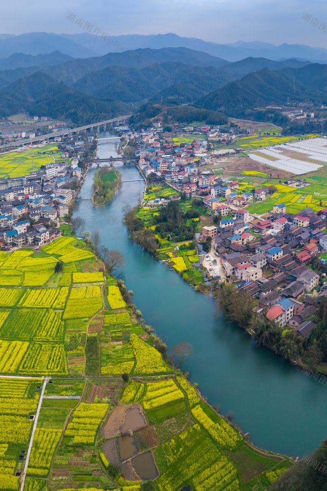 乡村 河流 油菜花 田园风光 山水 自然 村庄 航拍 风景 美丽乡村 乡村振兴 春色 油菜花盛开 航拍视角 田地 农村 自然景观 生态 水乡