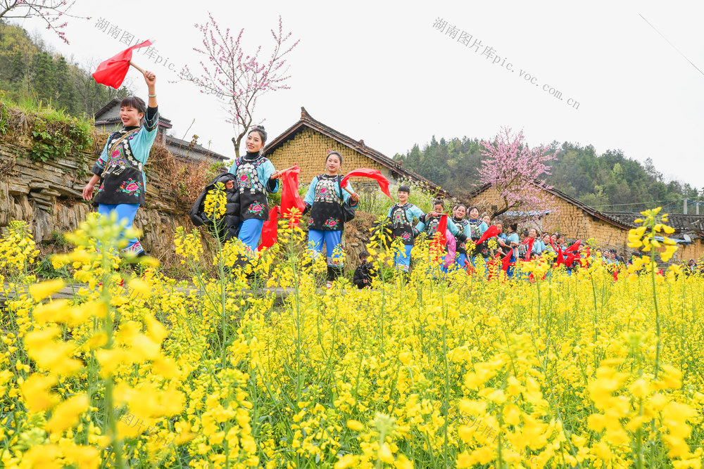 苗族喜迎“三月三”  苗鼓展演、苗族服饰巡游、各种节目表演  “苗寨游”一派火热