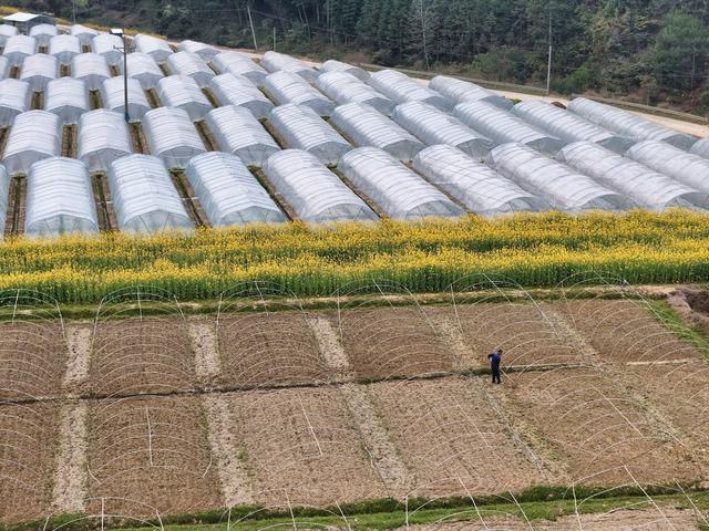 农业、农民、生产、春耕