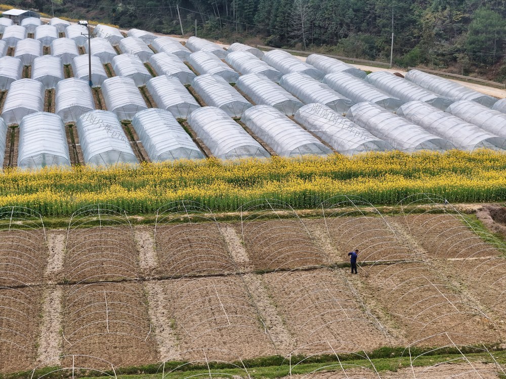 农业、农民、生产、春耕