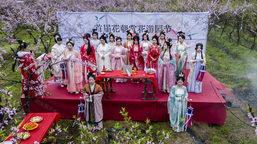 通道 侗寨 桃花 园 美景 醉 游人