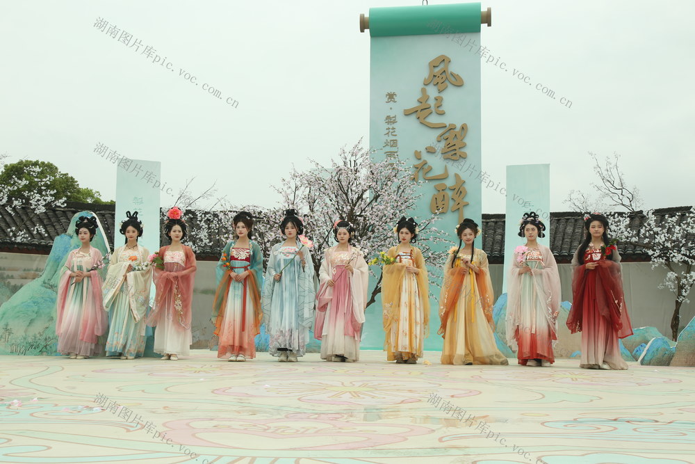 金甲梨园  第十届梨花节  开幕