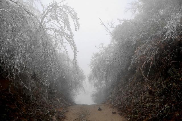 雾凇  高山 村民 拍照
