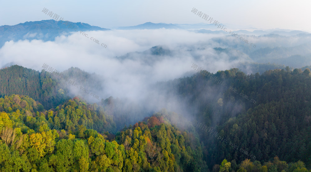  云海 山峦 森林 自然风光 绿色 山景 雾气 树木 生态 远山 户外 植被 景观 山谷 云雾 风景 山雾 碳汇林 树林 云海 清晨 森林清晨 山林清晨 晨雾 