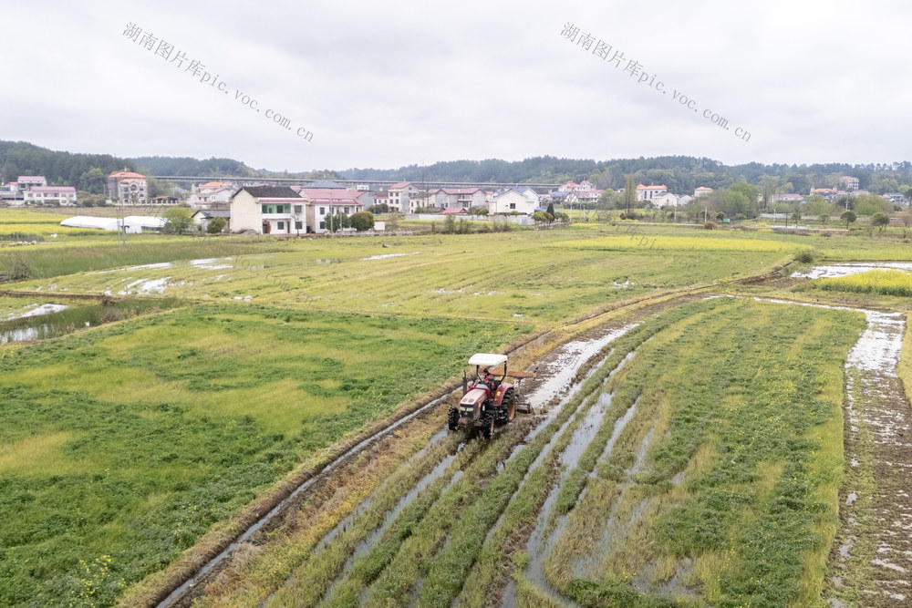 娄底 农事 栽种 稻田 春耕