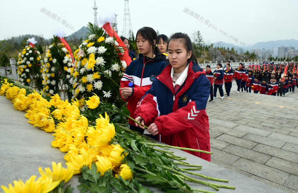 清明 英烈 缅怀 师生 献花