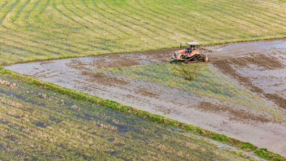 农业 粮食 春耕 农忙