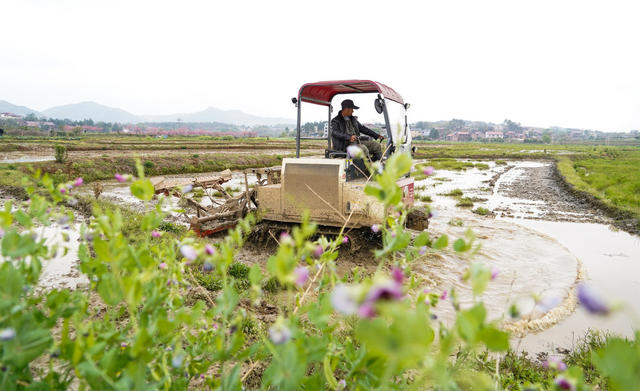 春耕  备耕  农业  生产  翻耕  农田