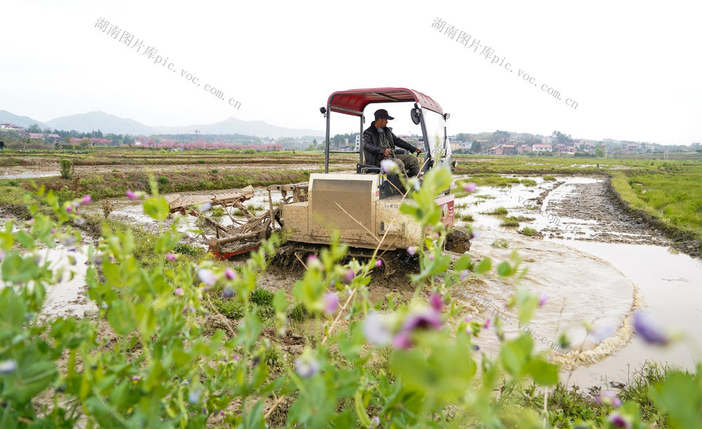 春耕  备耕  农业  生产  翻耕  农田