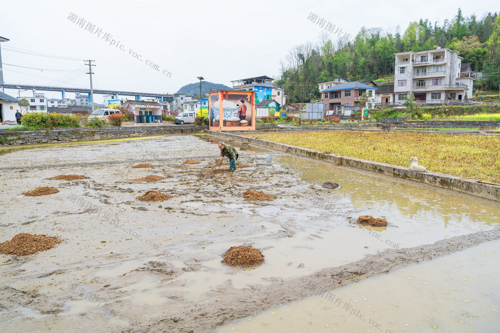 进入4月气温回升   村民抢抓晴好天气  春耕春种忙