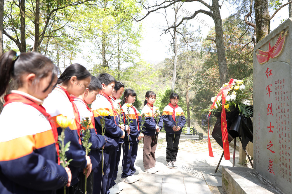 清明 缅怀 祭扫 英烈 红军 师生 传承 红色 精神
