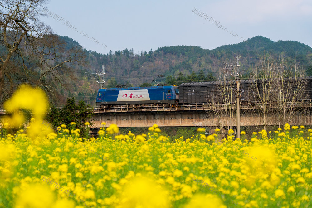 铁路运输 火车 货运列车 轨道 桥梁 村庄 蓝天 铁路 运输 交通 出行 基础设施 经济发展