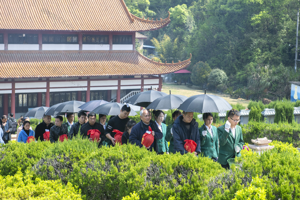 娄底 清明 节地生态 安葬 新风尚
