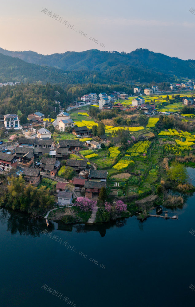 乡村 田园 江南 油菜花 花海 村庄 河流 自然风光 美丽乡村 水乡 春季 新农村 航拍 农村 山村 乡村振兴 村落 南方农村 航拍视角 山水 春天 农村春天